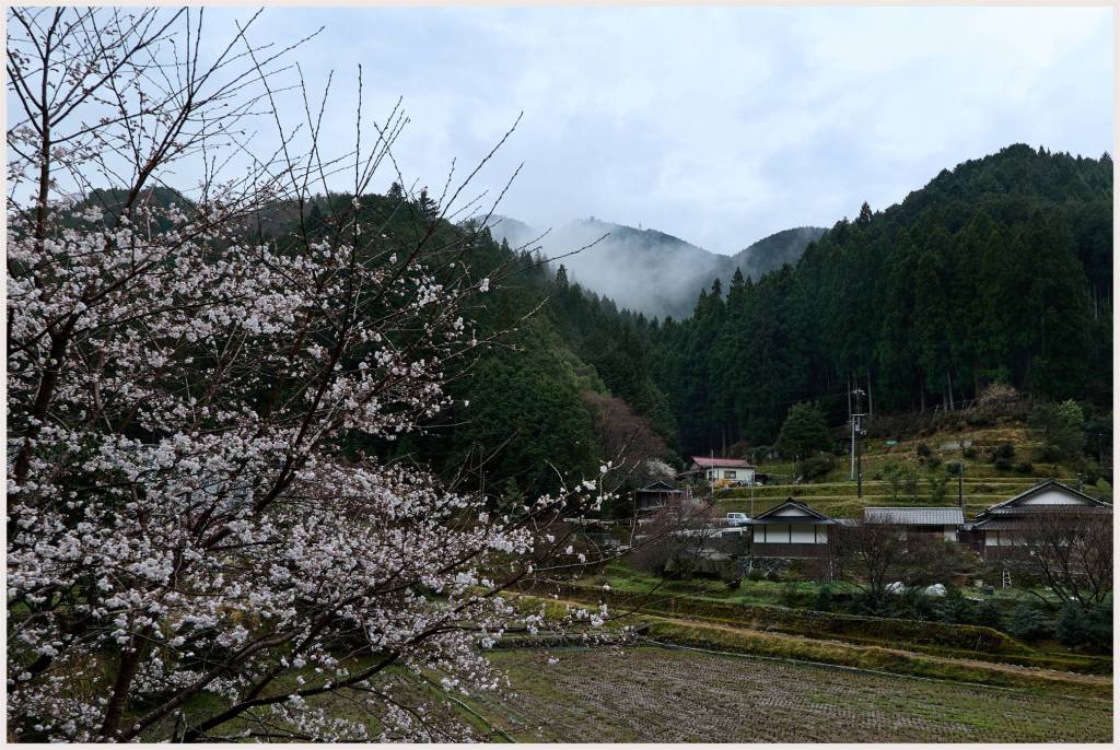 Driving back from Mount Kōya through a mountain village. Wakayama, Japan.
